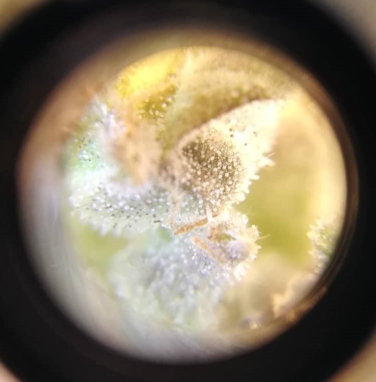 foto_no_exif (2).jpg