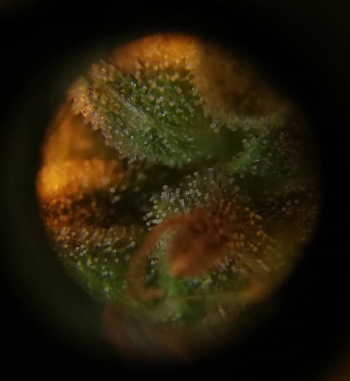 foto_no_exif (3).jpg