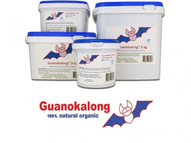 Guano.jpg