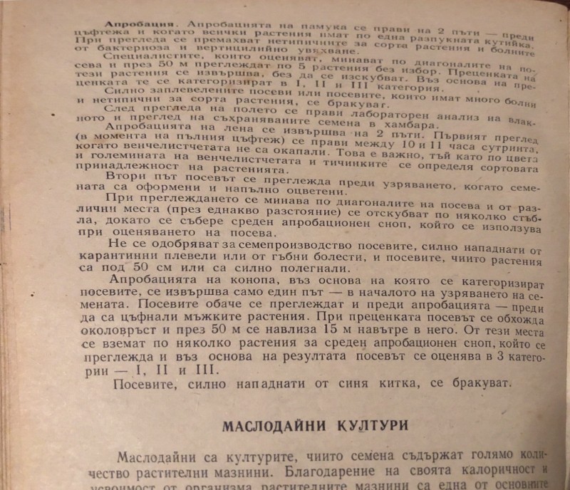 foto_no_exif (15).jpg