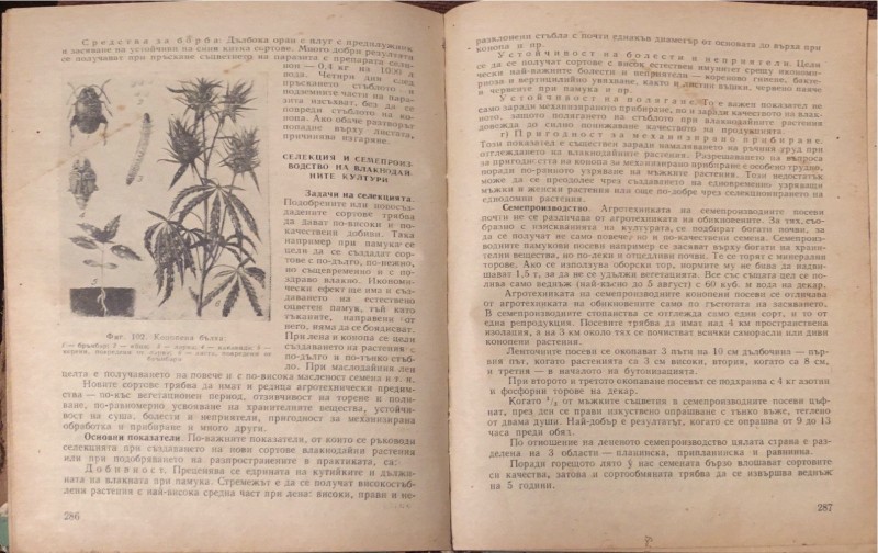 foto_no_exif (14).jpg