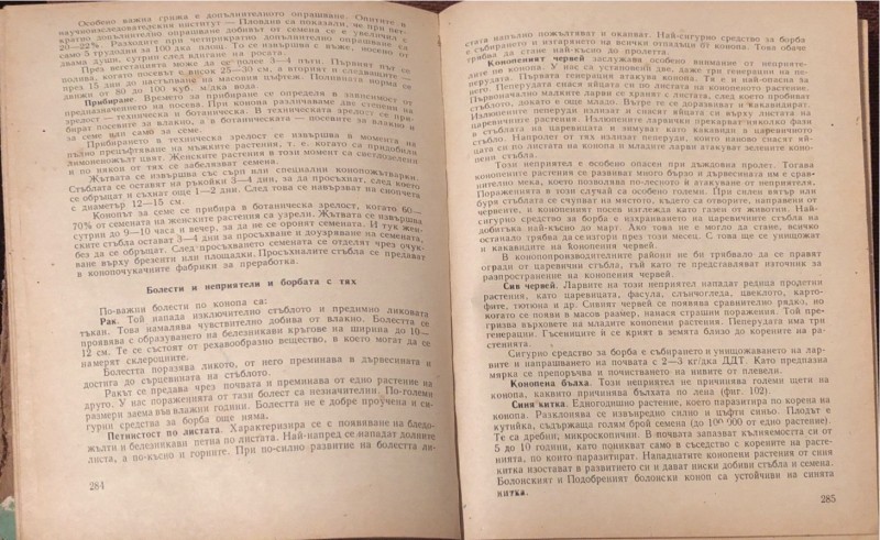 foto_no_exif (13).jpg