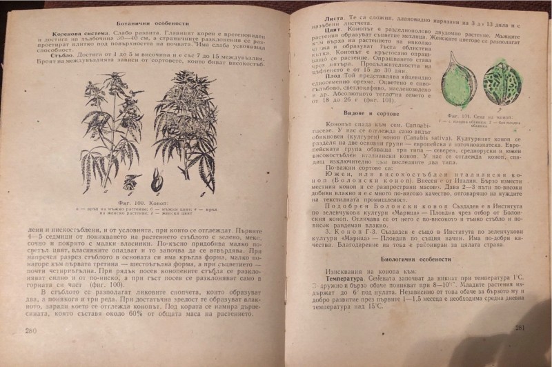 foto_no_exif (11).jpg