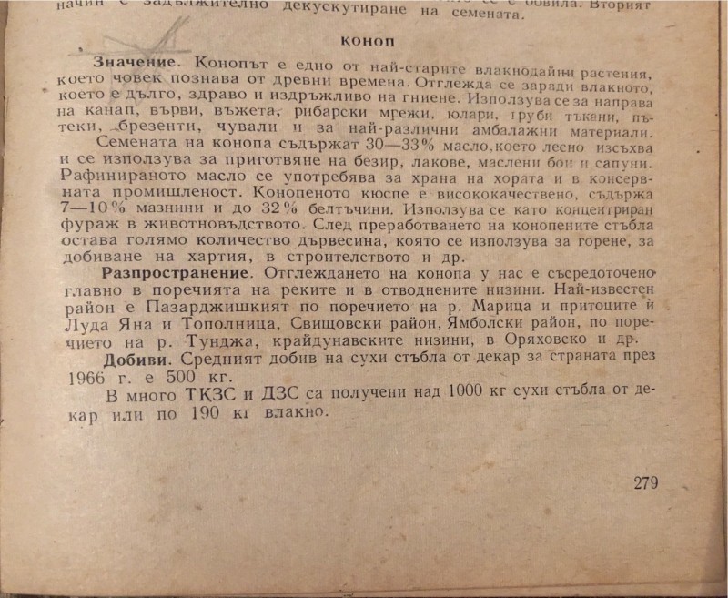 foto_no_exif (10).jpg