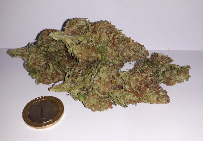 Afgani Kush x Skunk.jpg