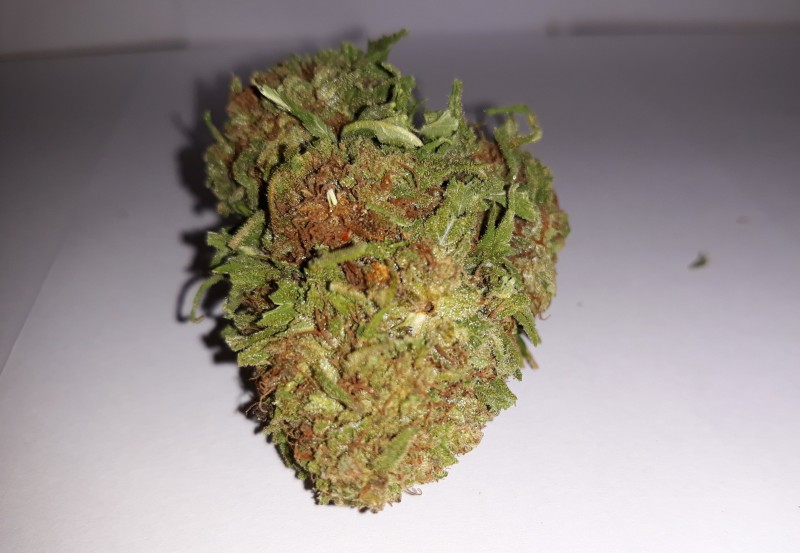 Critical Kush3.jpg