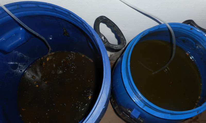 Начална фаза на ферментация на тор. В ляво зелени водорасли, а в дясно коприва