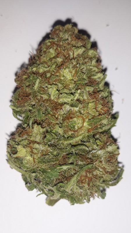 criticalkush3.jpg