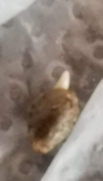 received_519627102154574.jpeg