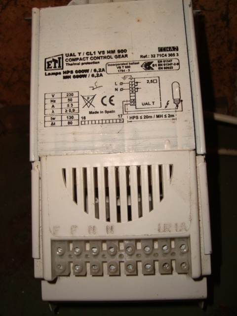 DSC05045.JPG