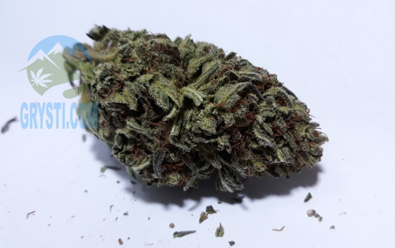 Sapphire Og4.jpg