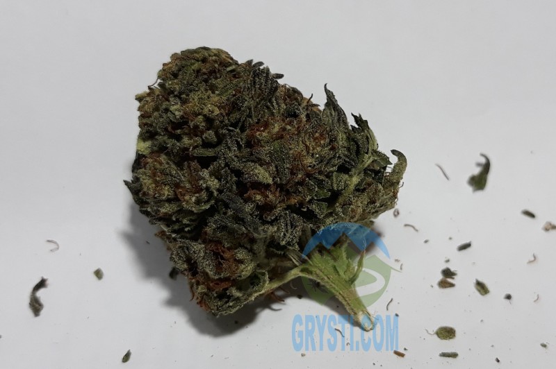 Sapphire Og5.jpg