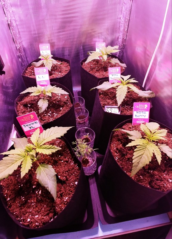 20191106_233645_HDR(1).jpg