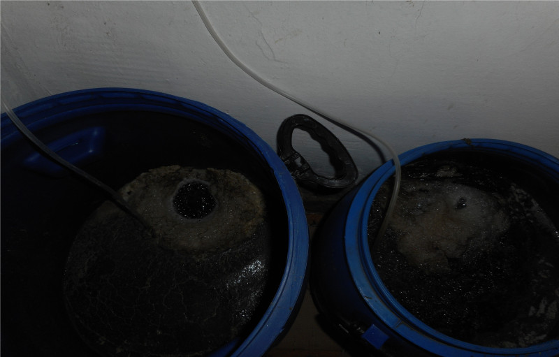 Ферментация на тор в бидон. В ляво зелени водорасли, в дясно коприва