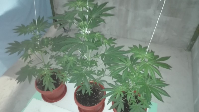 20191119-2.jpg