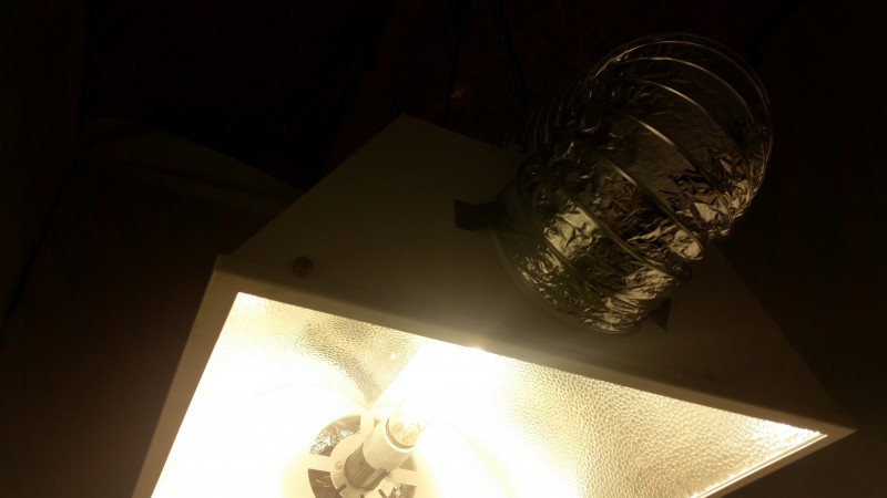 20181119_184055-min.jpg