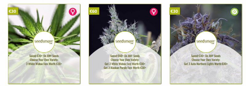 seedsmanpromo-min.png