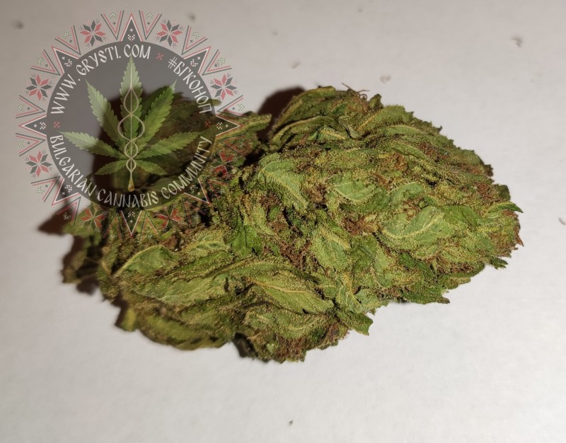 Afgani Kush x Skunk3.jpg