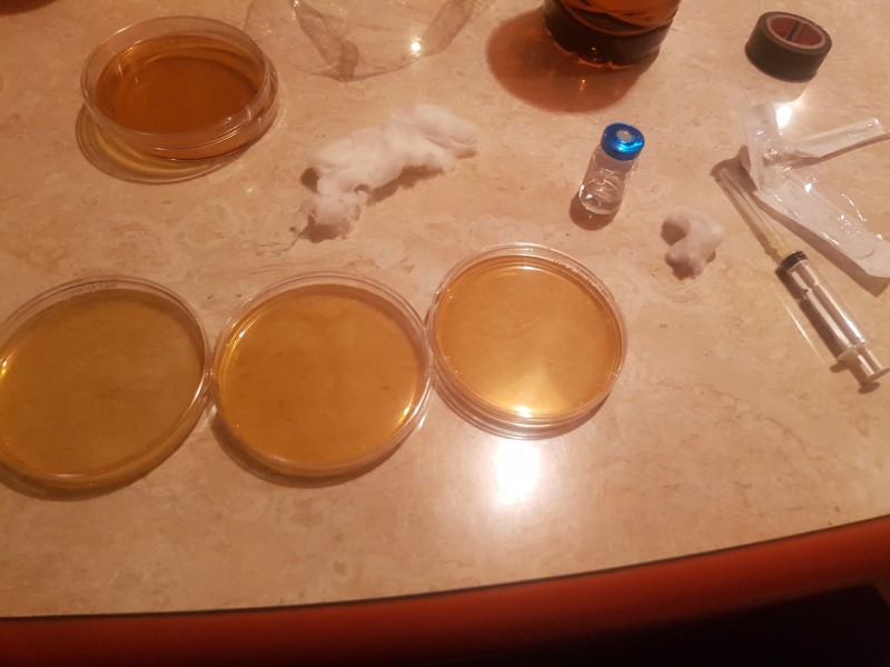 20181216_231353-min.jpg