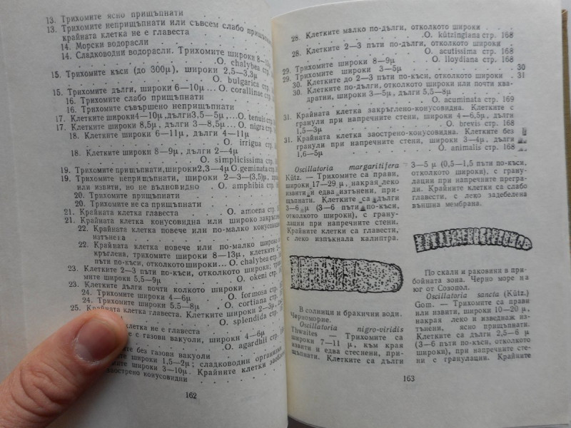 knigaalgi11.jpg