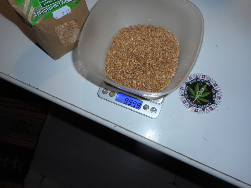 limec3-min.JPG