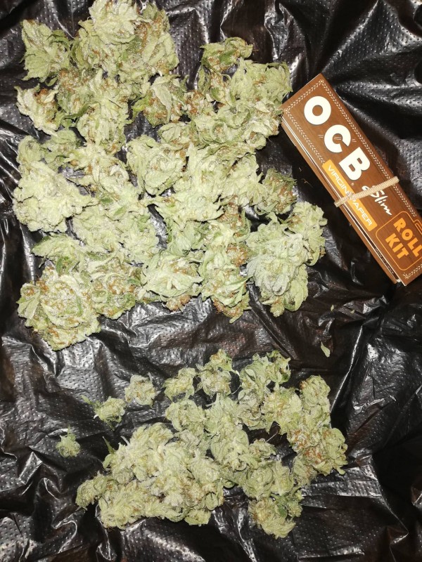 foto_no_exif (4).jpg